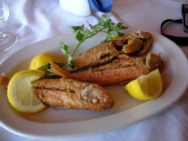 anavissos, attika greece