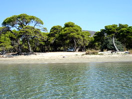 schinias, attika, greece