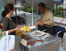 Chestnut guy, pedion areos