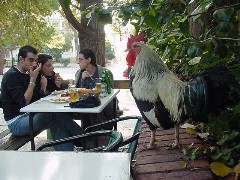 Platia Dexameni, Kolonaki, Athens, Greece
