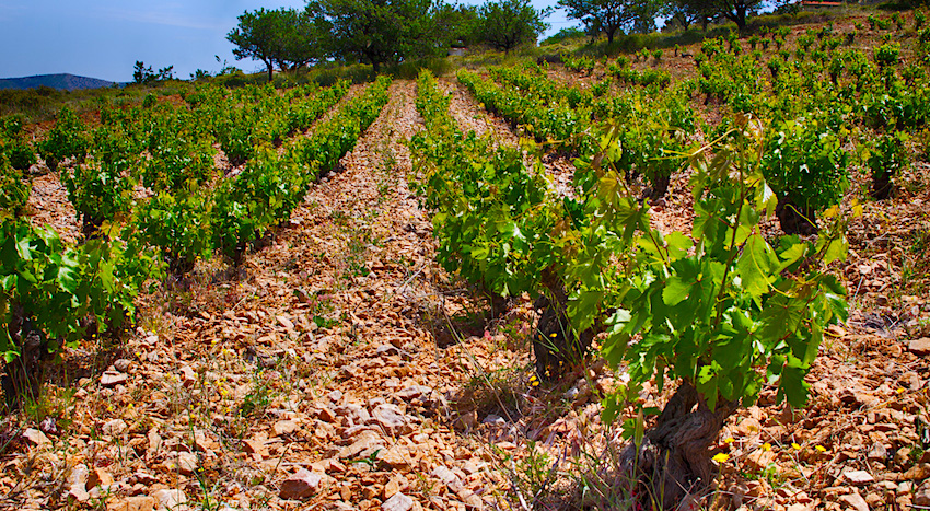 Mylonas Winery, Greece