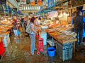 athens central market, fish