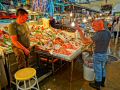 athens central market, fish