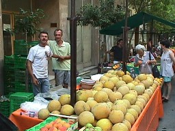 farmers market: cantalopes, melons