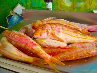 Barbounia-red mullet