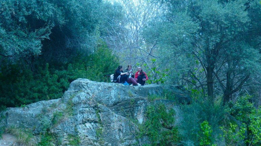 Homer tour of Athens